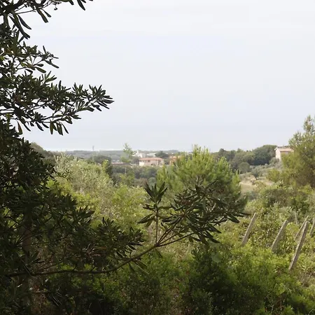 Piccolo Immerso Nella Campagna