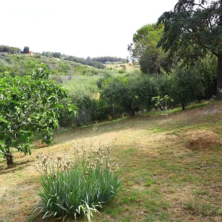 아파트 Piccolo Immerso Nella Campagna *