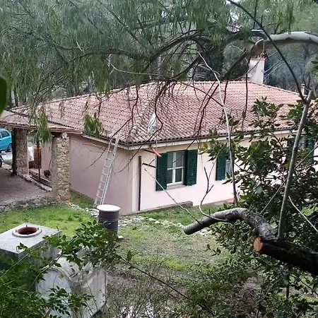 Piccolo Immerso Nella Campagna