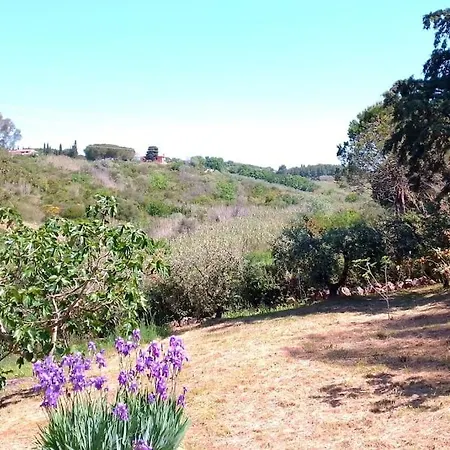 Piccolo Immerso Nella Campagna * Rosignano Marittimo