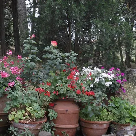 Piccolo Immerso Nella Campagna Appartement Rosignano Marittimo