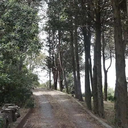 Piccolo Immerso Nella Campagna Appartement *