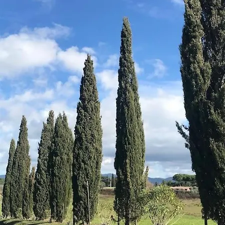 Piccolo Immerso Nella Campagna * Rosignano Marittimo
