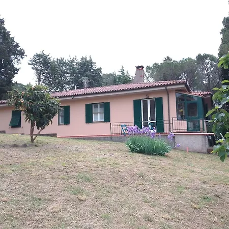 Piccolo Immerso Nella Campagna Rosignano Marittimo