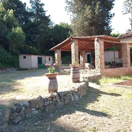 Piccolo Immerso Nella Campagna Rosignano Marittimo